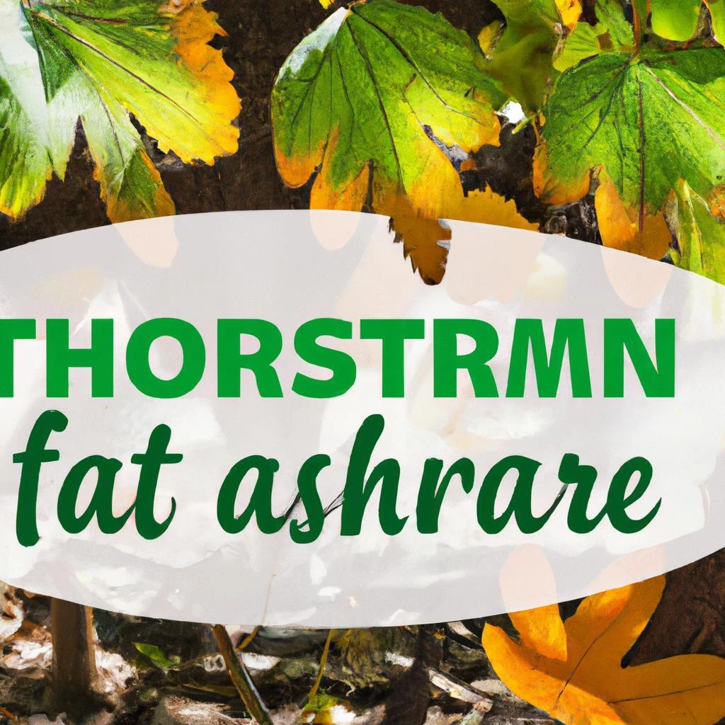 利用者様の声