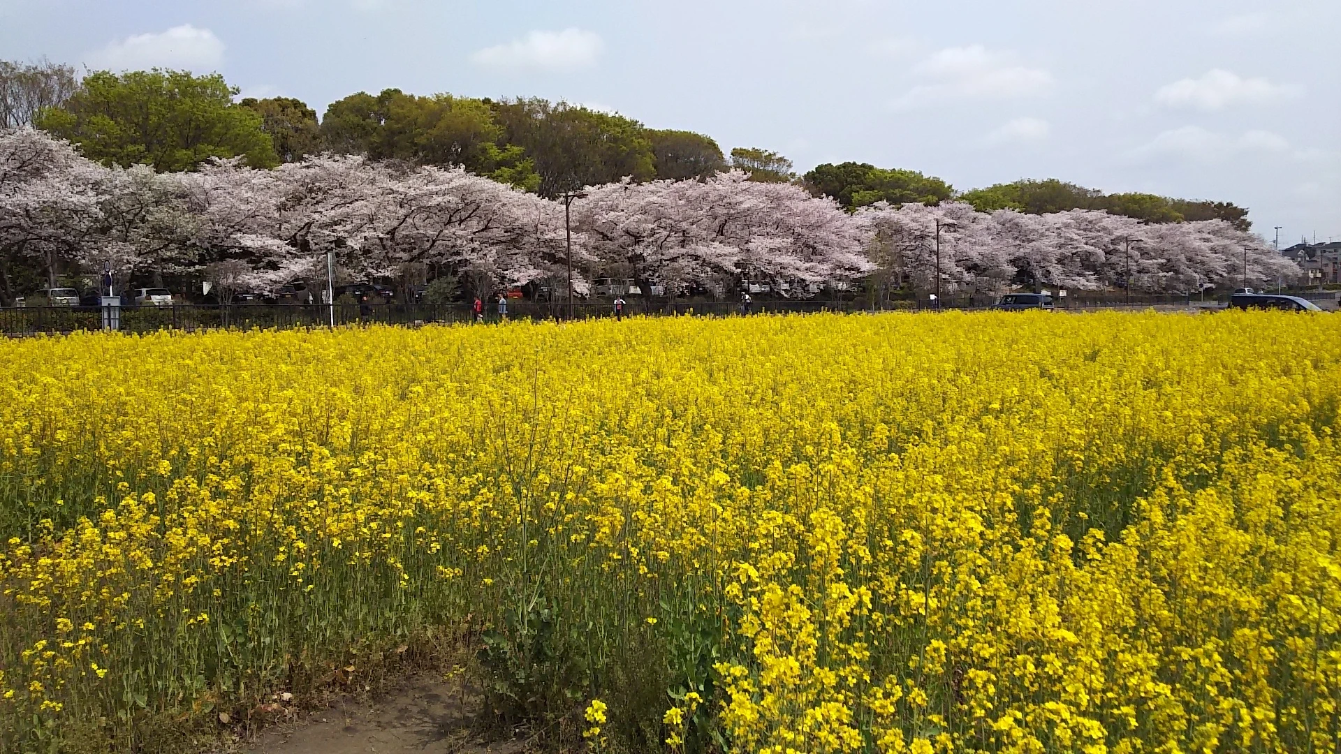 土呂町の介護を牽引する仲間を歓迎します。あなたの力を貸してください！